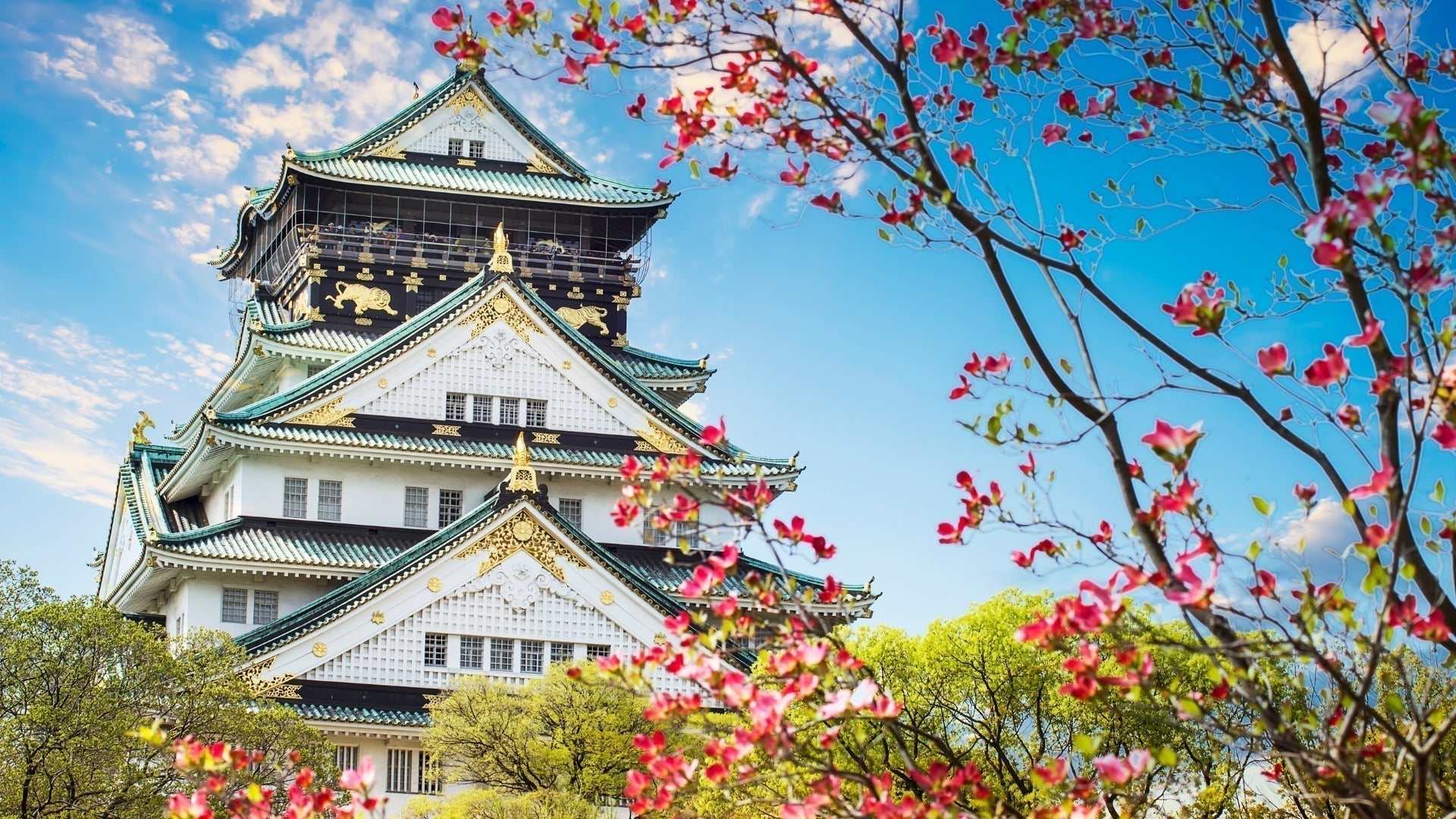 que visiter au japon en 15 jours
